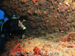 mr. bruno at mermaid point in parguera area!!!PUERTO RICO by Victor J. Lasanta 